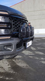 Kastaragrind Ford F350 2023-