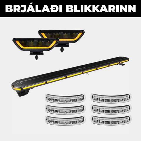 Brjálaði Blikkarinn